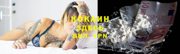 кокс Белокуриха