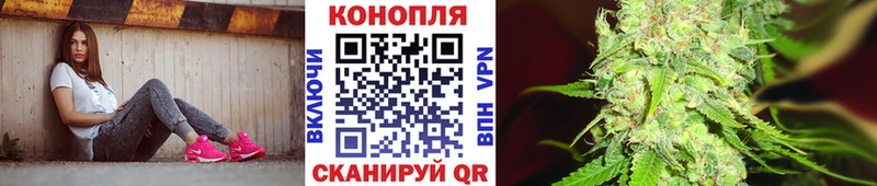 Бошки марихуана семена  закладки  Волосово 